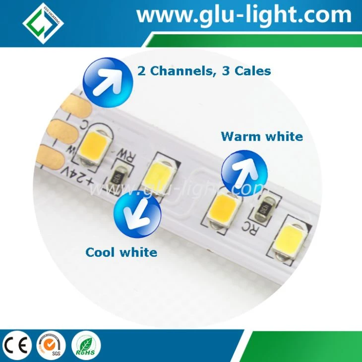 Alibabacom 2835 CCT dual color led strip 120led/m